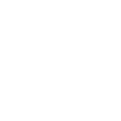 DATA INSPIRED CULTURE & LEADERSHIP